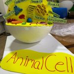 Animal Cell Science Project